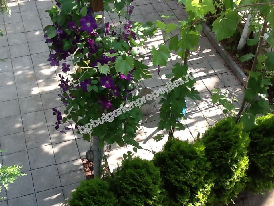 Rural 2-storey house for sale near the town of Dobrich and close to the sea Rural 2-storey house for sale near the town of Dobrich and close to the sea