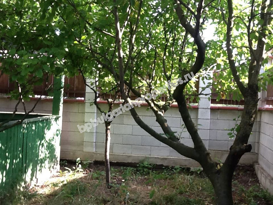 Rural 2-storey house for sale near the town of Dobrich and close to the sea Rural 2-storey house for sale near the town of Dobrich and close to the sea