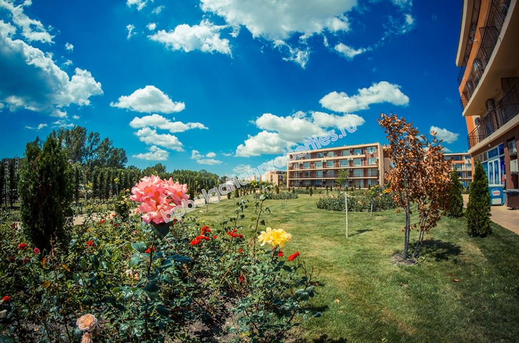 Resale - one-bedroom apartments in a gated complex on Sunny Beach Resale - one-bedroom apartments in a gated complex on Sunny Beach