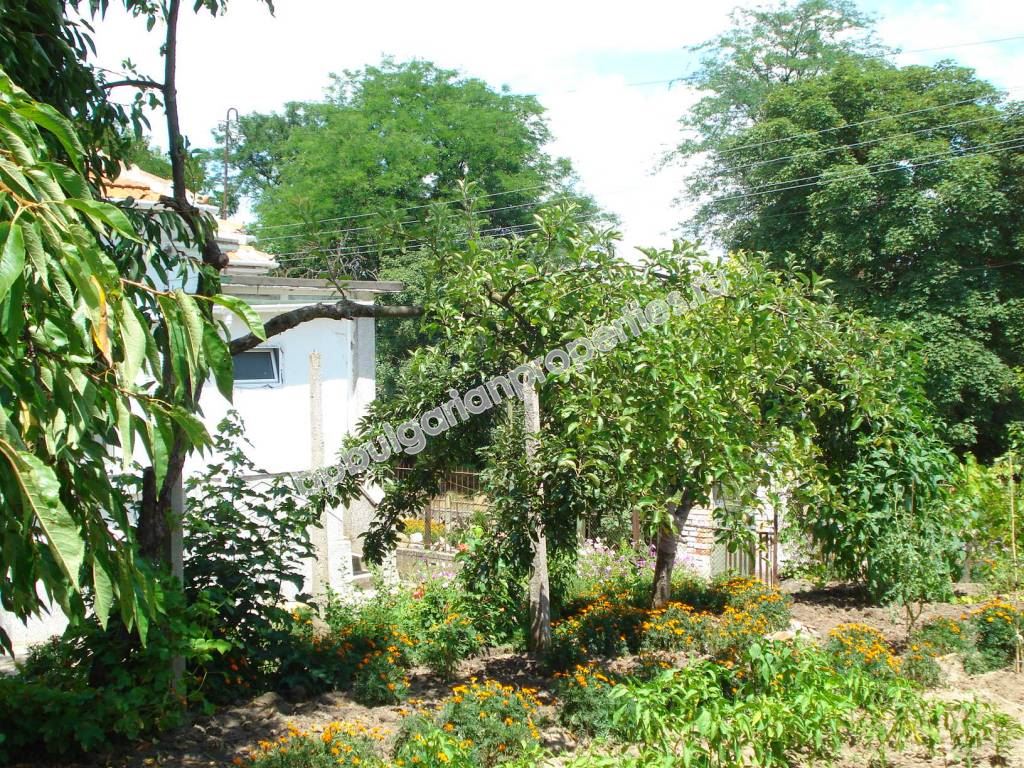 Rural house after renovation for permanent residence Rural house after renovation for permanent residence