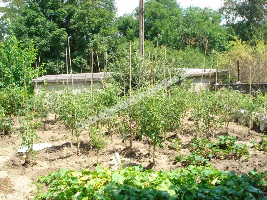 Rural house after renovation for permanent residence Rural house after renovation for permanent residence