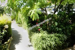 Luxury apartment with sea view for sale in Golden Sands resort near the Varna