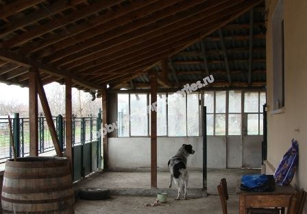 One-storey house with a big plot of land for sale in a village 25 km away from Bourgas