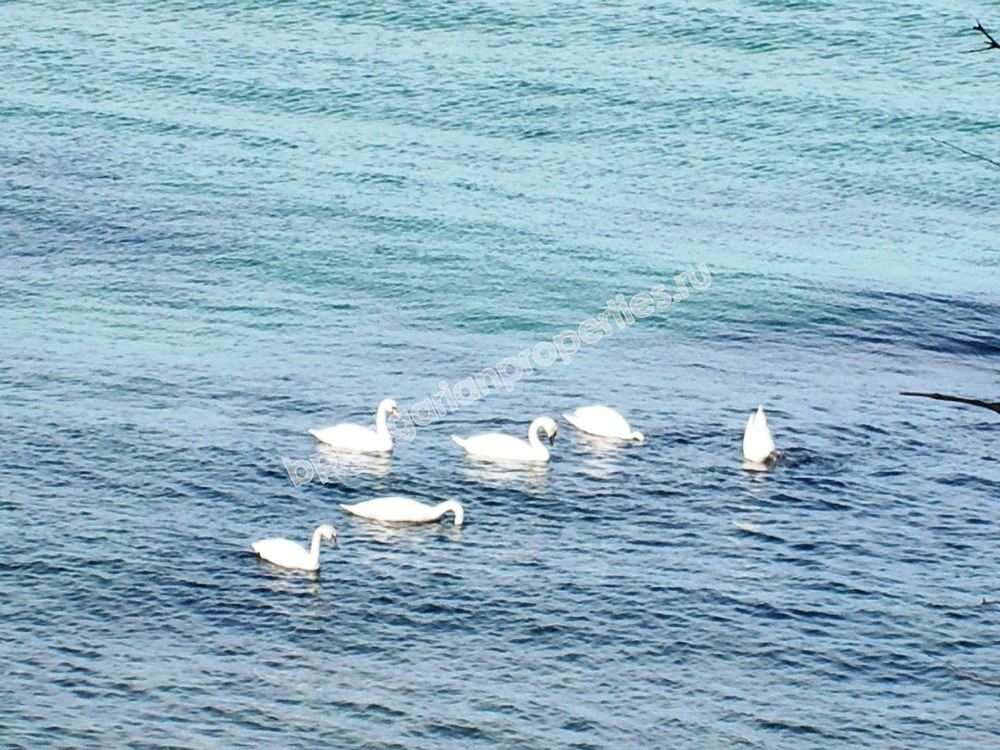 Luxury new one-bedroom apartment on the beach for sale in the resort Lozenets