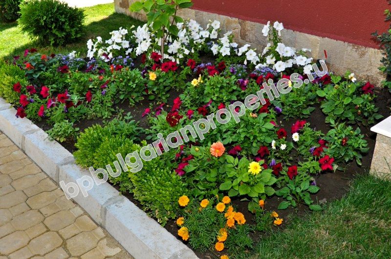 Luxury apartments for sale in the sea resort Saint Vlas Luxury apartments for sale in the sea resort Saint Vlas