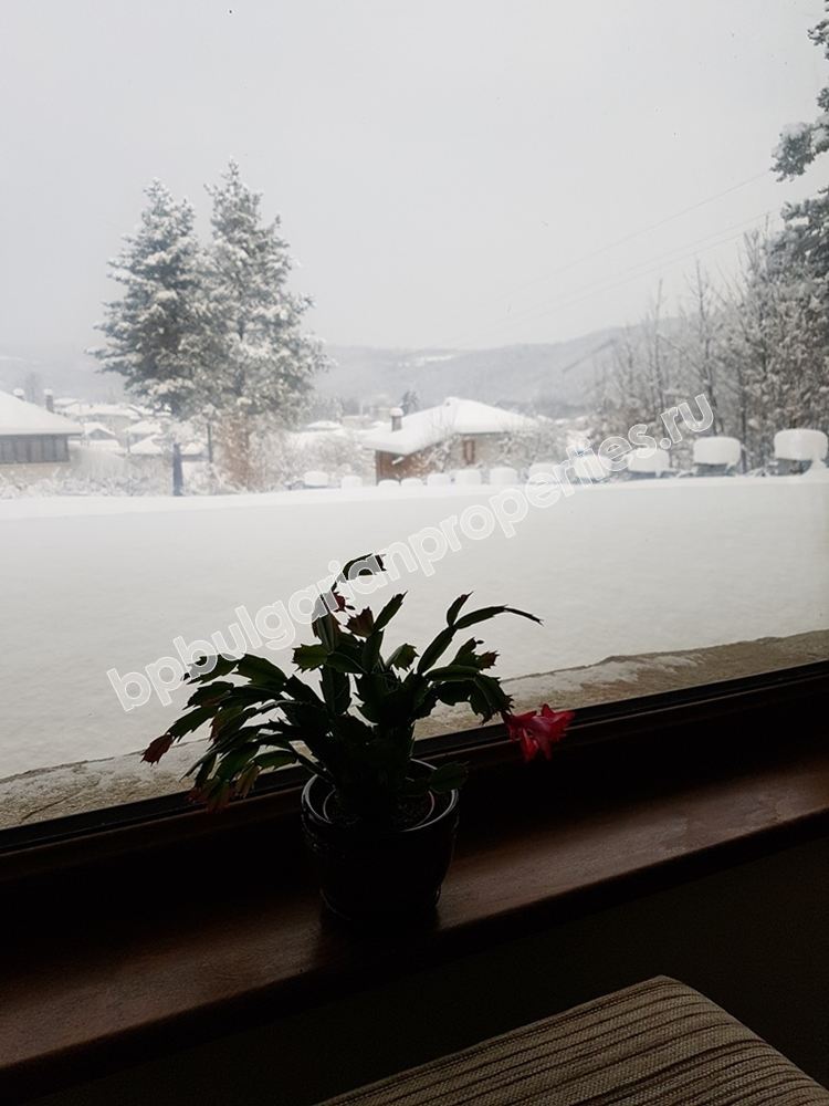 Operating guest house / hotel for sale in the Balkan Mountain near the town of Troyan Operating guest house / hotel for sale in the Balkan Mountain near the town of Troyan