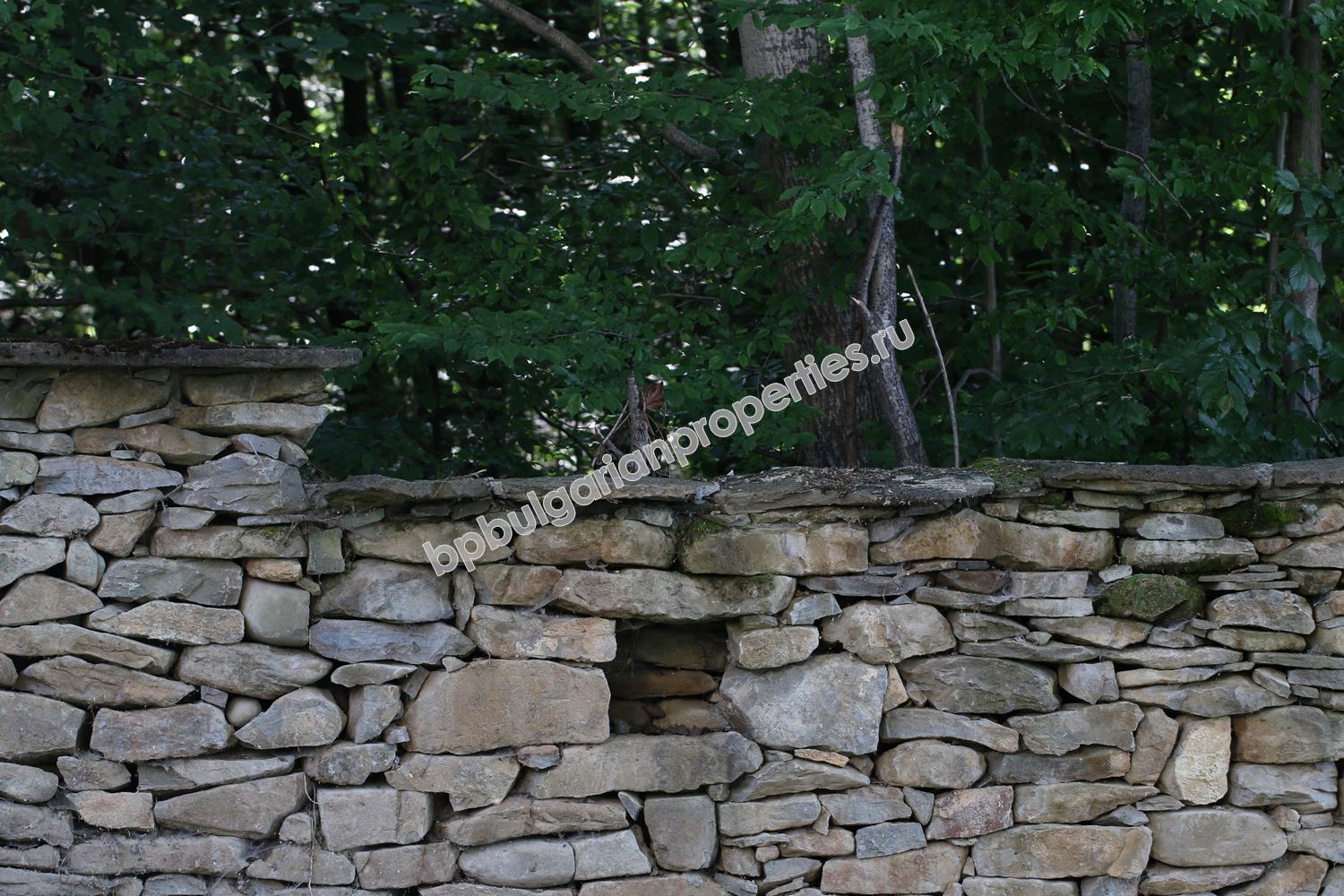 Operating guest house / hotel for sale in the Balkan Mountain near the town of Troyan Operating guest house / hotel for sale in the Balkan Mountain near the town of Troyan